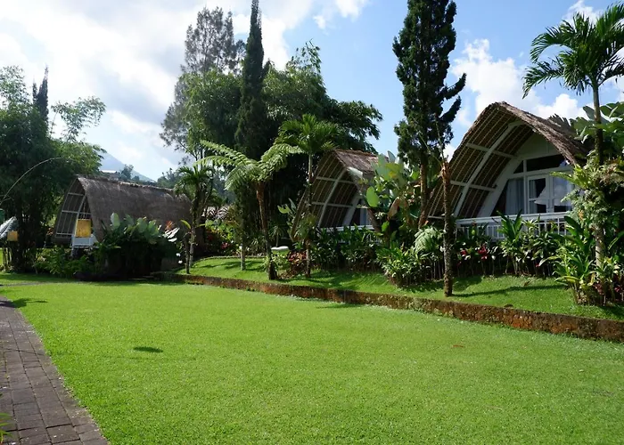 Village Above The Clouds Guest house Bedugul (Bali)