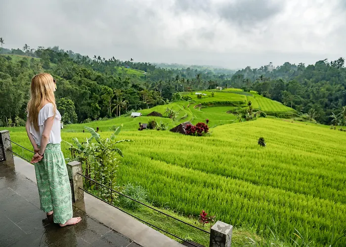 Village Above The Clouds Guest house 2*
