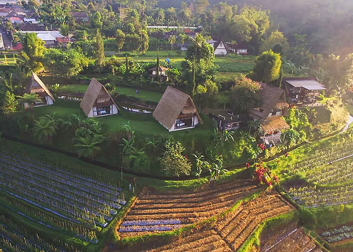 Guest house Village Above The Clouds Bedugul (Bali)