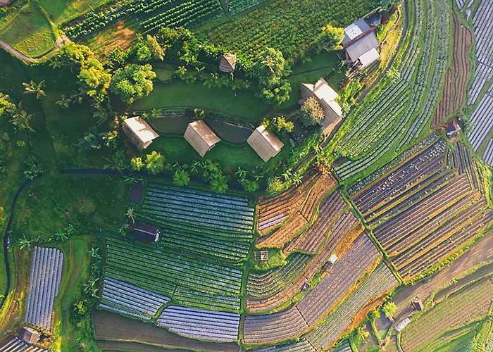 Village Above The Clouds