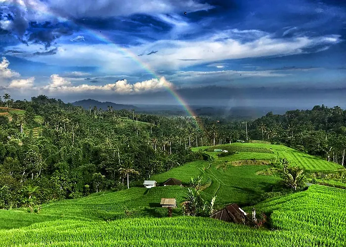 Village Above The Clouds Guest house 2*