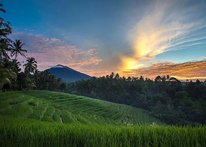Village Above The Clouds Guest house Bedugul (Bali)